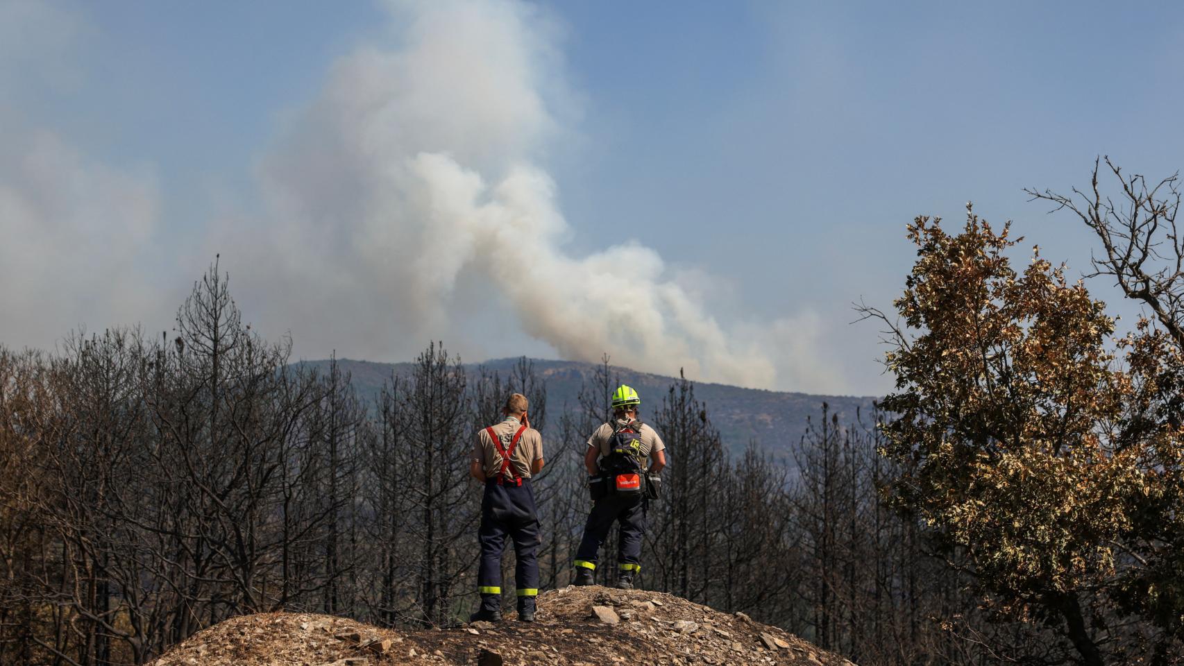 Bomberos checos miran los restos del desastre en el Parque Nacional de Dadia