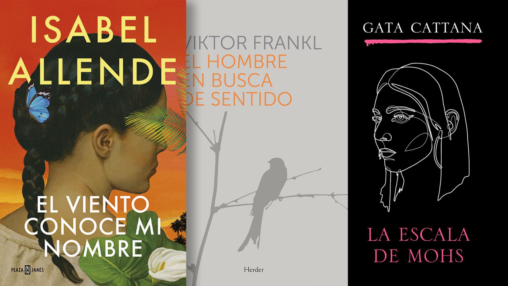 Top 5 mejores libros de Gomez Jurado - recomendaciones 2024