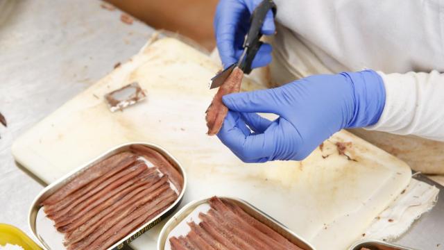 Una trabajadora prepara una lata de anchoas.