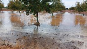 Tormenta este sábado en los campos del Sur de Cuenca. Foto: Aemet