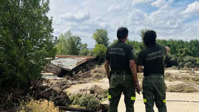 Agentes forestales en una de las zonas afectadas de Aldea del Fresno, en Madrid.