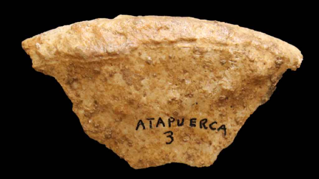 Uno de los fragmentos óseos hallados en la Sima B de la Galería del Sílex, datados a principios del Neolítico.