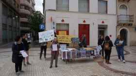 Un momento de una concentración frente al Ayuntamiento de Elche contra las plantas solares en marzo de este año.