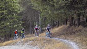 XI Circuito de Triatlón Diputación de Palencia