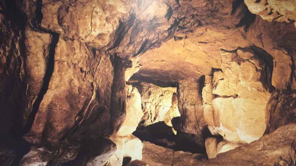 Cuevas de Altamira: todo lo que necesitas saber para poder visitarla