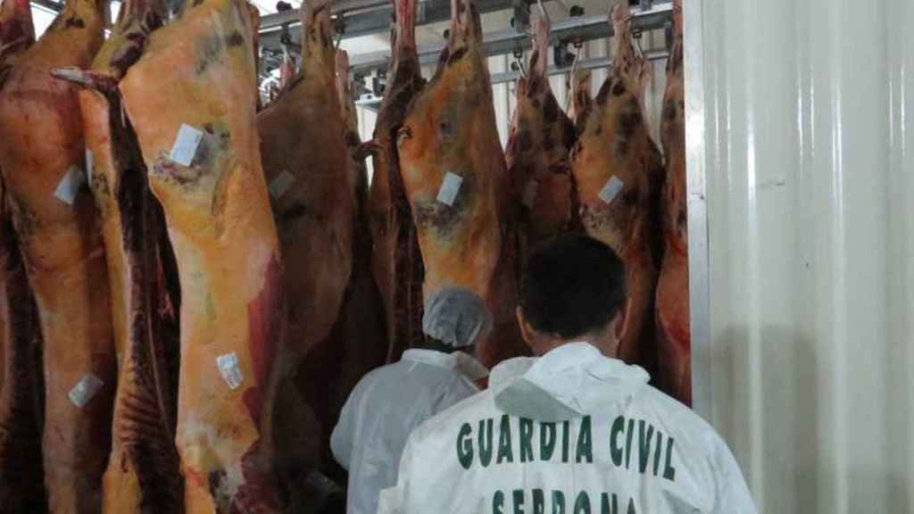 Operación de la Guardia Civil contra la venta de carne de caballo no apta para el consumo humano.