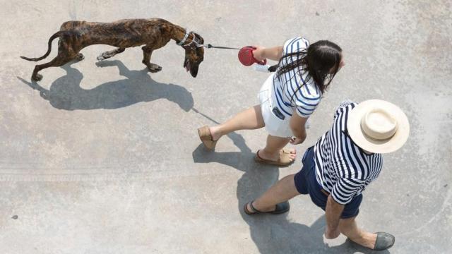 Una pareja paseando a su perro.