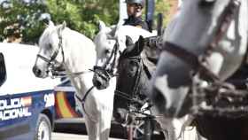 Policías a caballo en la Feria de Albacete.