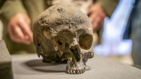 Uno de los cráneos visigodos hallados en La Garma.