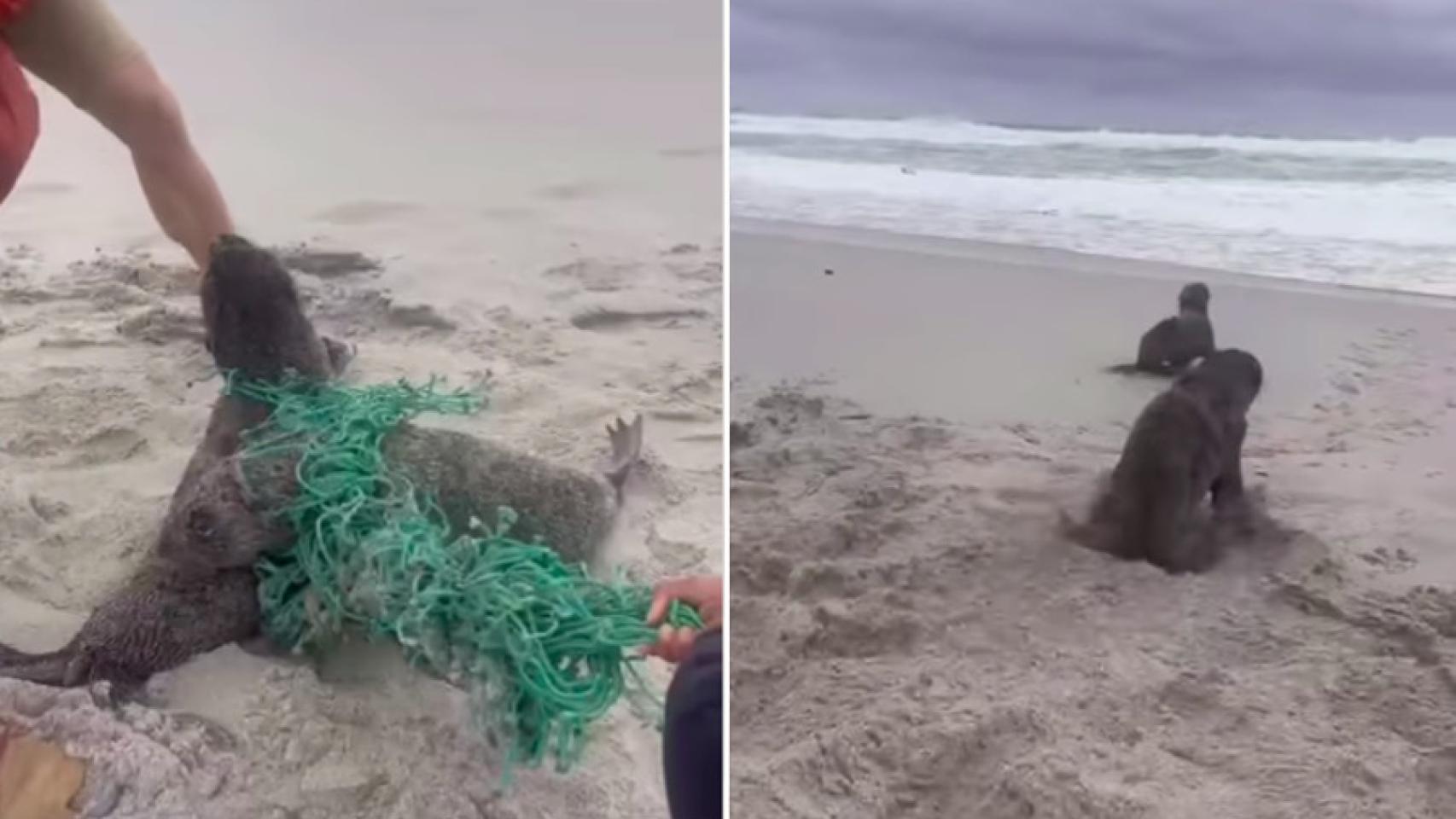 Capturas del vídeo que se ha hecho viral.