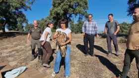 Castilla-La Mancha consolida la recuperación del águila imperial ibérica