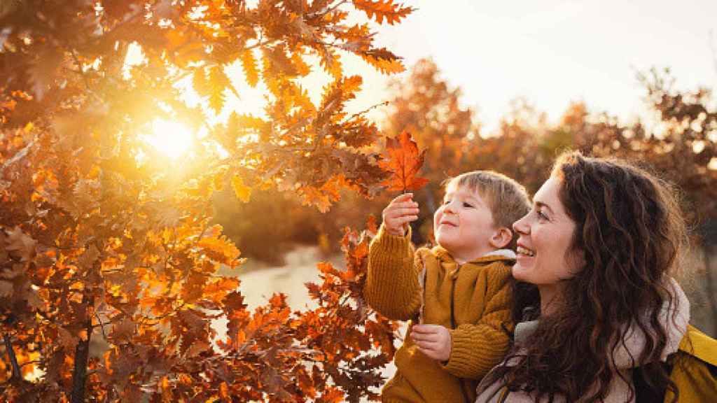 Una mujer y un niño disfrutando de sol en el campo en otoño.