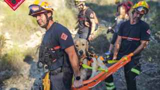 Los bomberos de Alicante rescatan a un perro "cansado" que estaba de paseo en la Serra Gelada