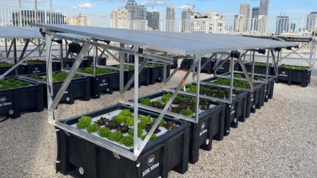 Los kits agrovoltaicos instalados en el tejado de un edificio