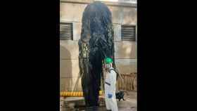 Así es el 'monstruo' de las toallitas de 400 kilos que desborda las alcantarillas de Huelva