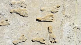 Huellas humanas fosilizadas halladas en el parque nacional White Sands, en Nuevo México, EEUU.