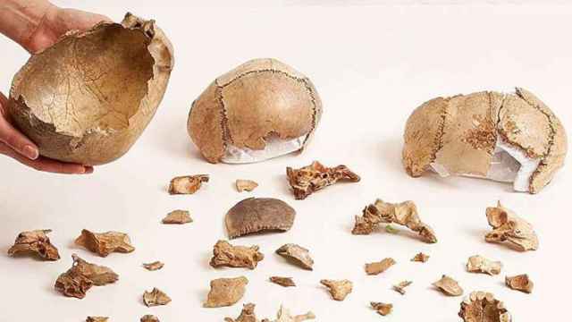 El canibalismo  fue común en el paleolítico superior