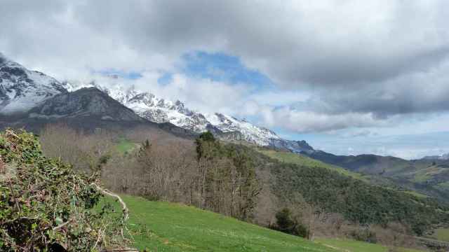 Los mejores lugares para hacer una excursión micológica en la región de Cantabria