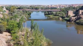 La Cava de Toledo. Foto: Ecologistas en Acción.