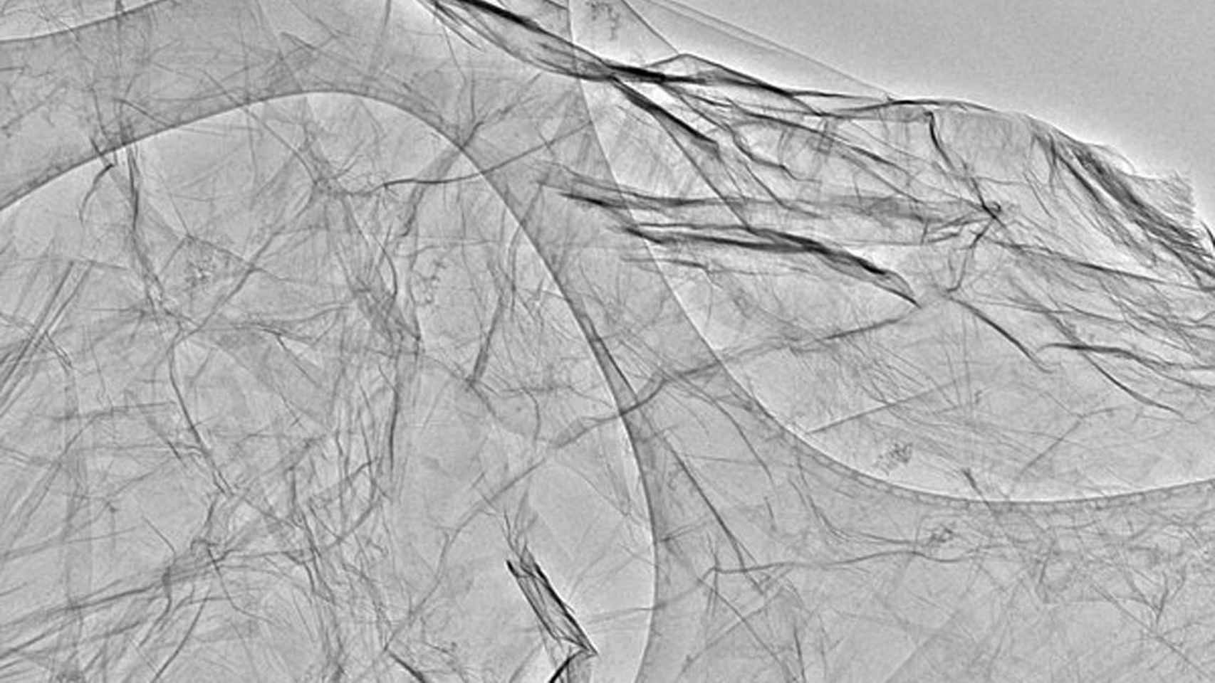 Micrografía de una lámina de grafeno.