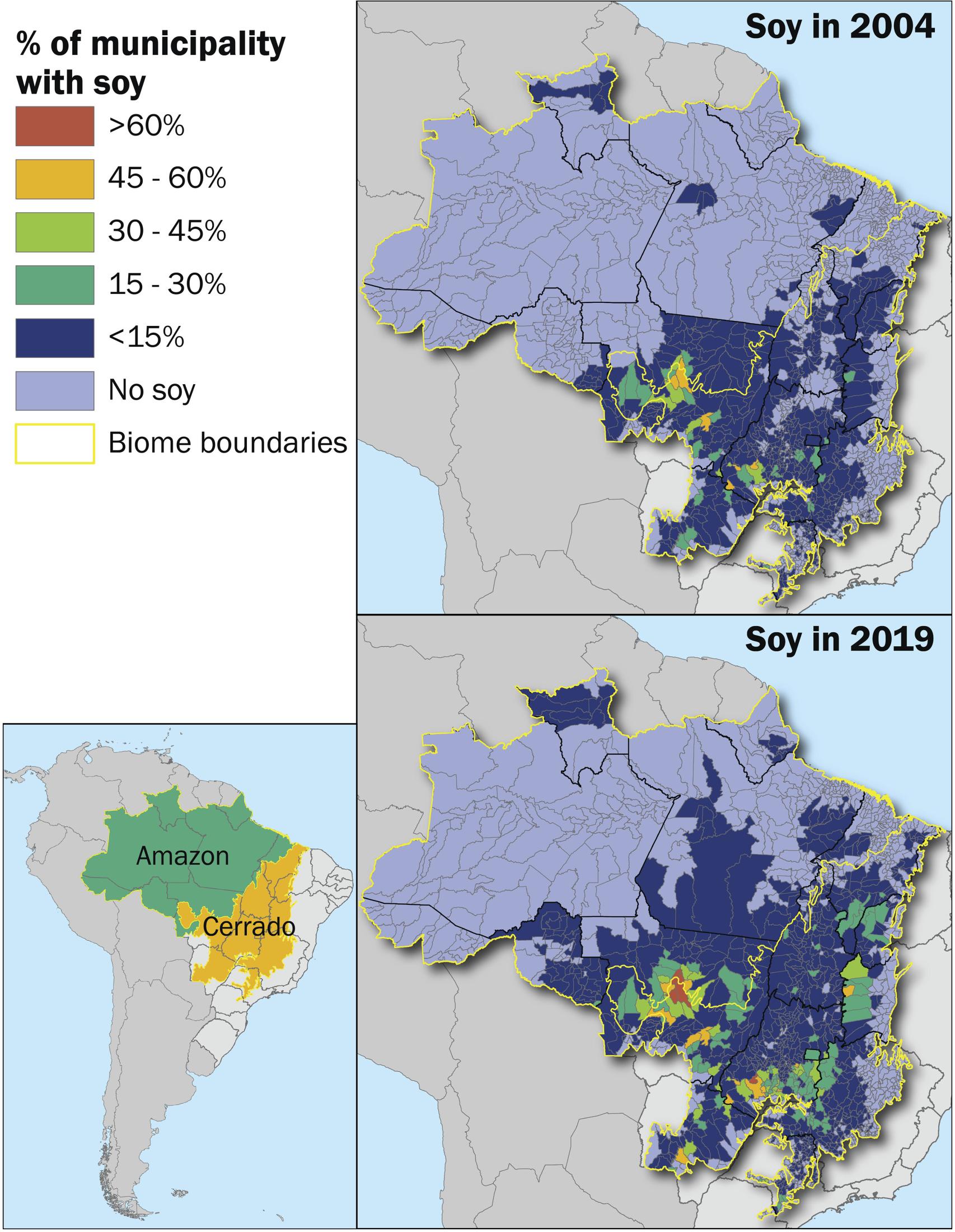 c-mo-la-expansi-n-de-los-cultivos-de-soja-en-brasil-ha-aumentado-el