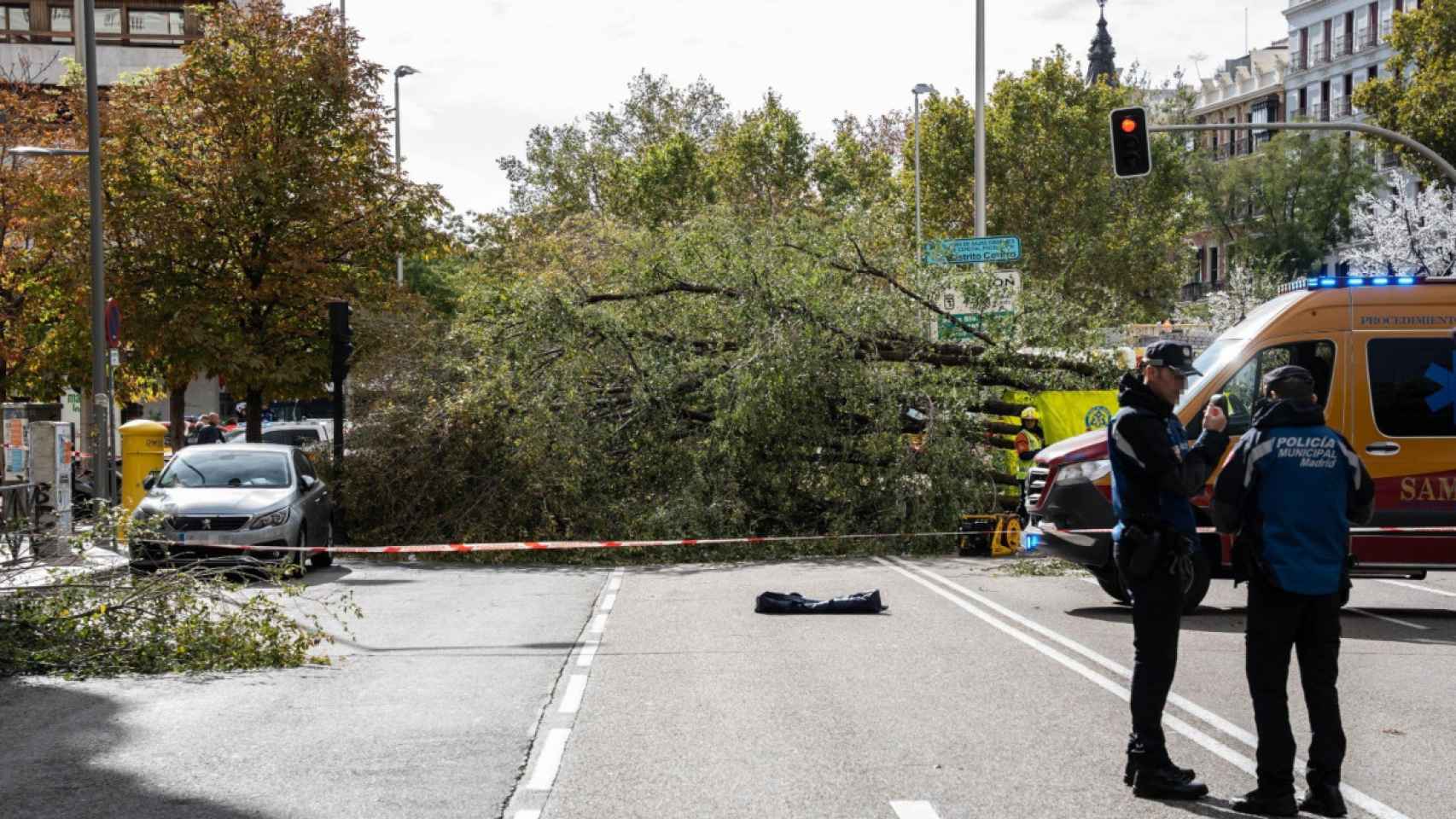 Agentes de policía local al lado del árbol que ha caído sobre un paso de peatones por la borrasca ‘Ciarán’.