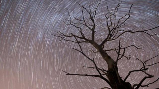 Imagen de una lluvia de estrellas en 2017