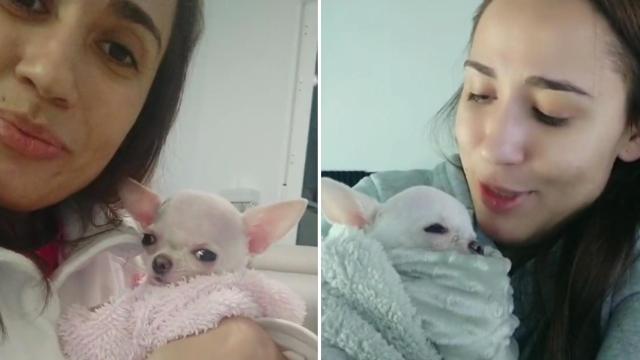 Zoe junto a su humana en el canal de TikTok donde se ha hecho viral.