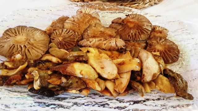 Fuente de setas de cardo y boletus que degustamos en el Cossío