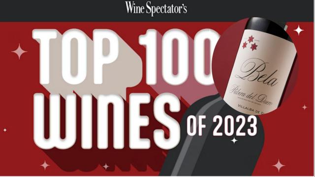 Un vino tinto de Castilla y León se cuela entre los 100 mejores del mundo