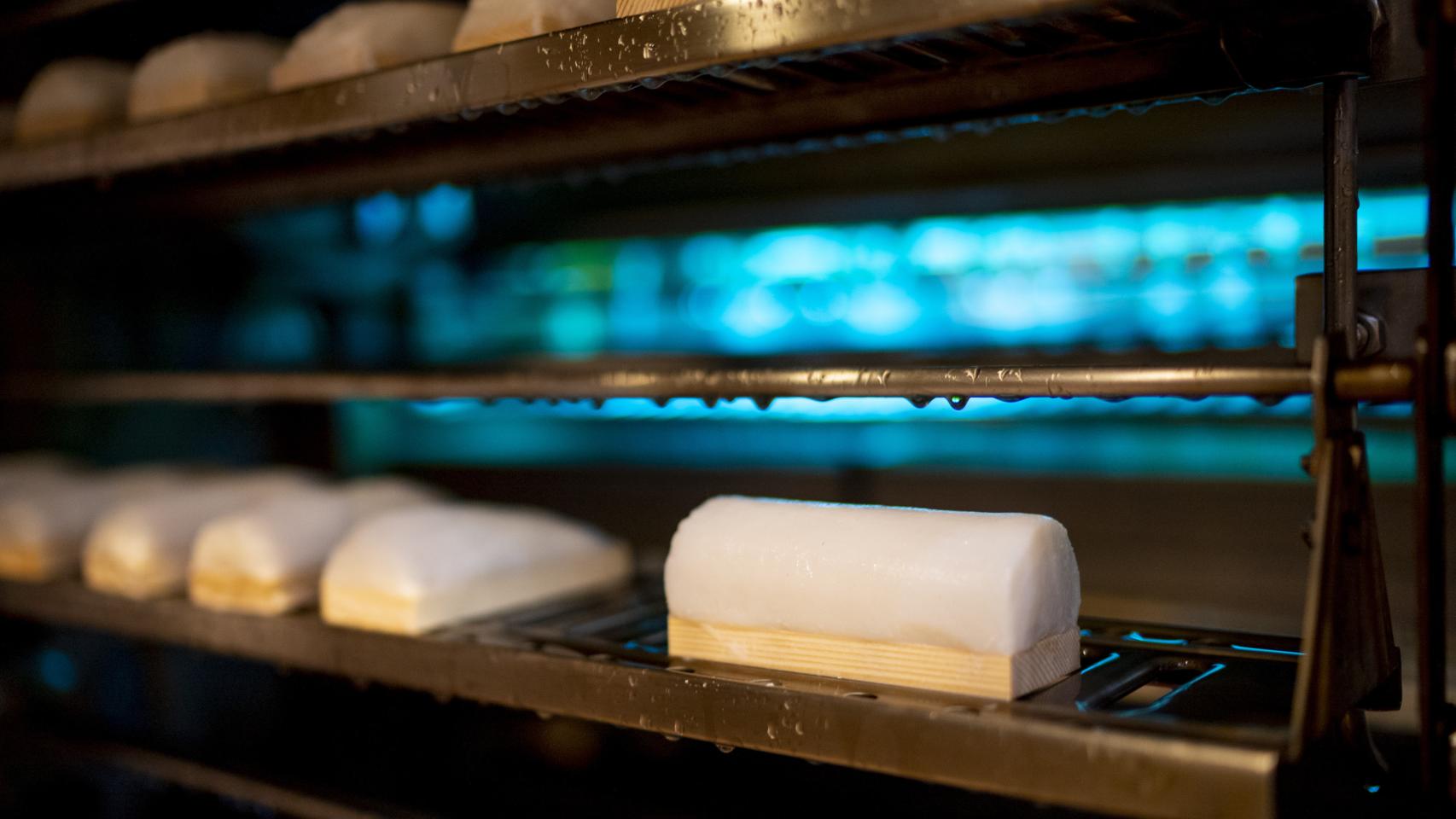 La conservación del surimi