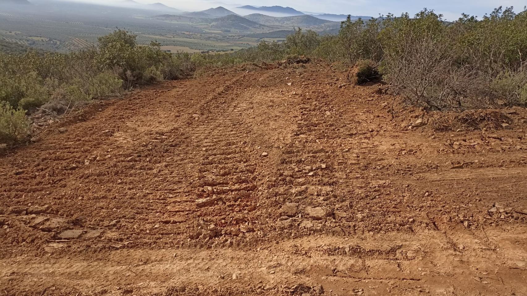 Otra imagen de la zona afectada