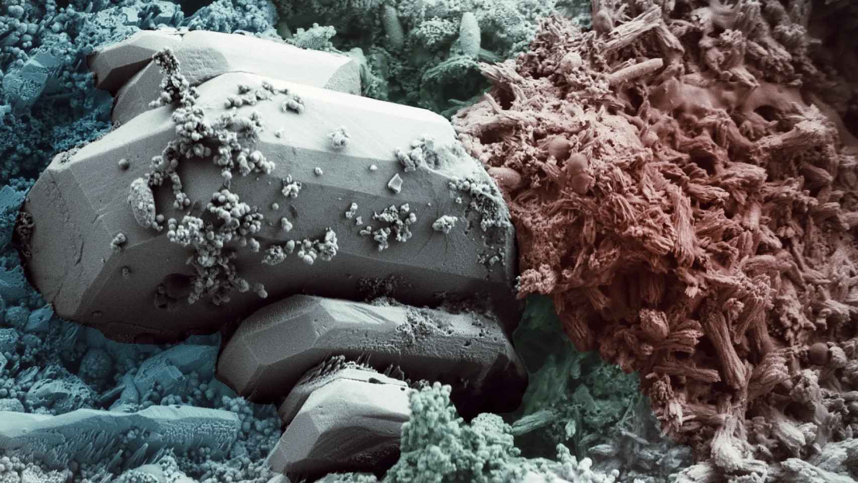Imagen del hormigón BioFiber obtenida con microscopio electrónico de barrido.