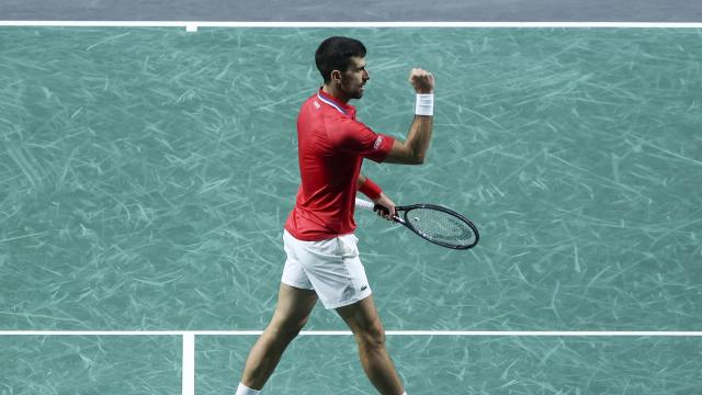 Novak Djokovic celebra un punto en la Copa Davis de Málaga