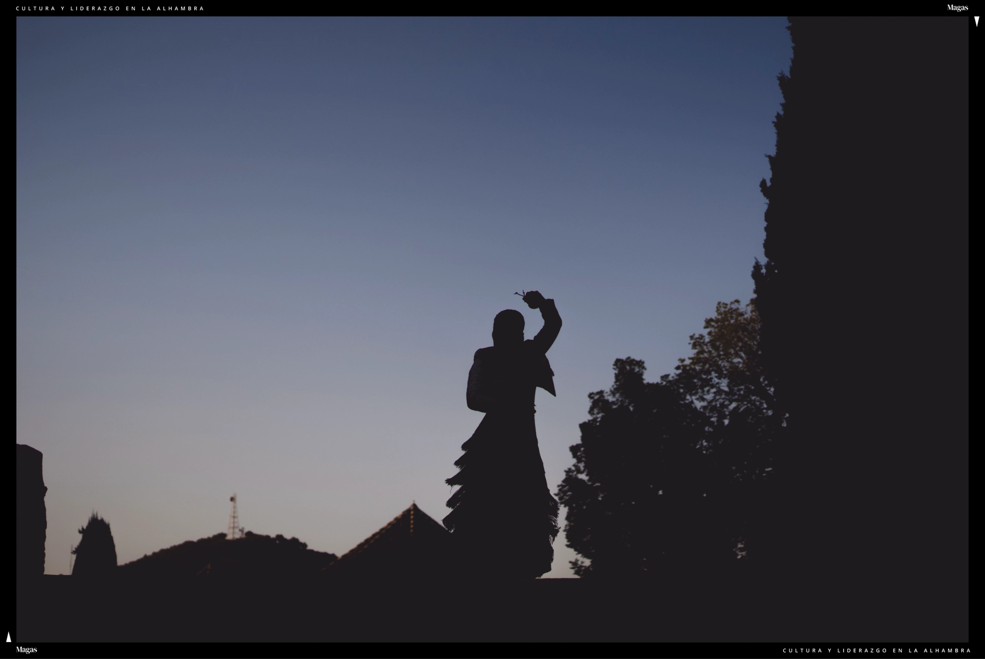 Foto de cierre con la silueta de una flamenca