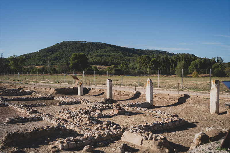 Un paseo por Alcalá de Henares, capital histórica y arqueológica de la Comunidad de Madrid  - Tabernas